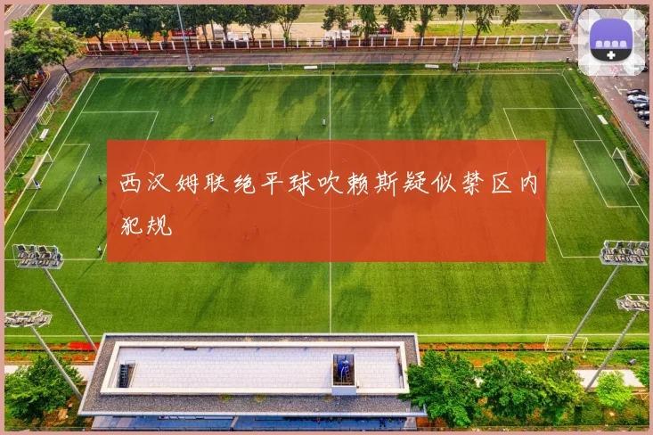 西汉姆联绝平球吹赖斯疑似禁区内犯规